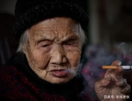 香烟或迎“涨价潮”？专家提议香烟价格“以涨助控”，农民很无奈-香烟价格涨幅趋势分析